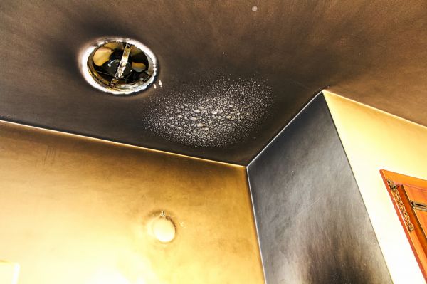 Cost of Smoke Damage Removal in Idaho Falls